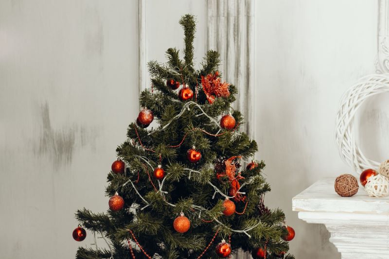 A Beginner’s Guide to Decorating Your Flocked Tree: Tips and Tricks for a Perfect Christmas Setup