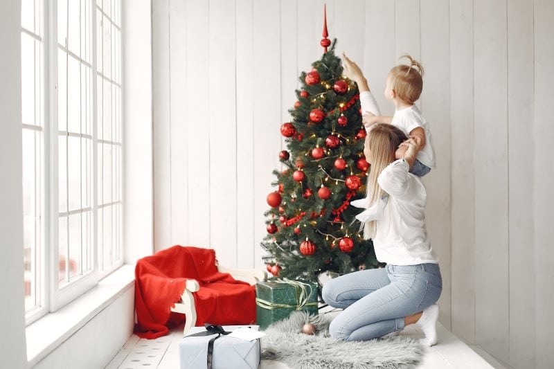 Top 10 Christmas Tree Species: Which One is Perfect for Your Home?